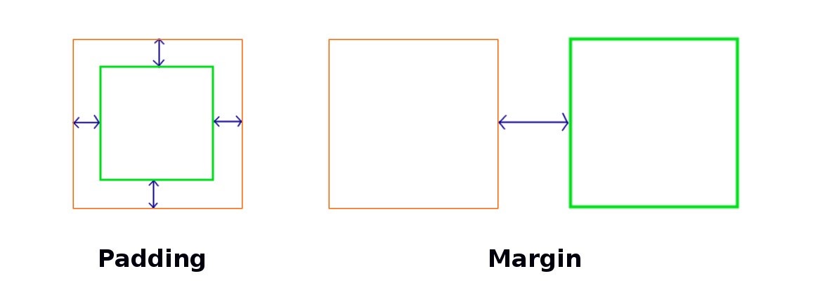 Css Margin Vs Padding Whats The Difference